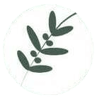 Dastorkon